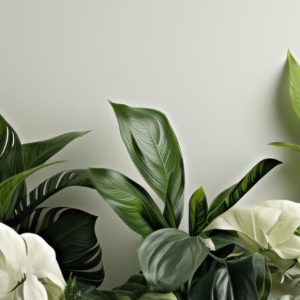 Home shop bg